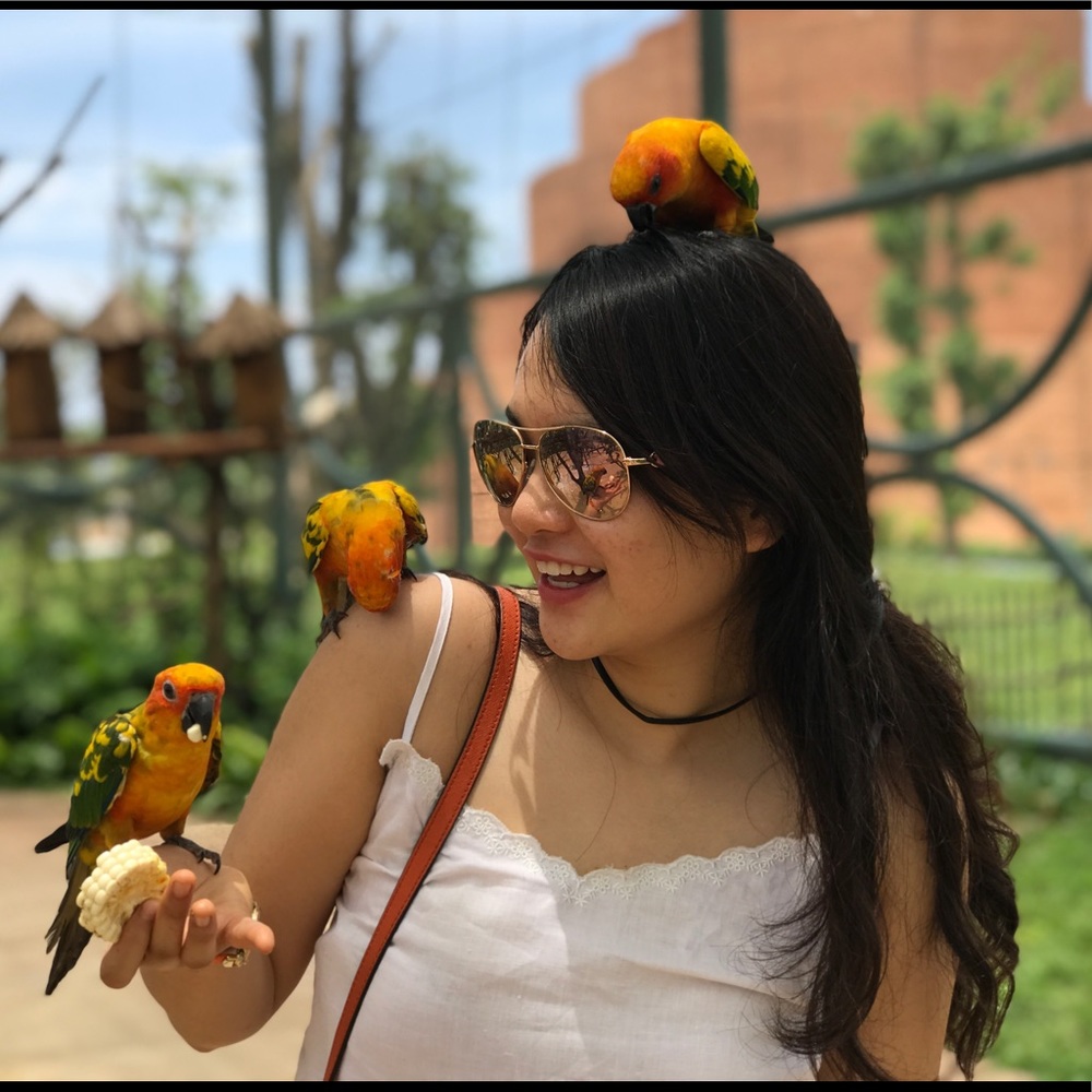 Meet your Posher, Amy